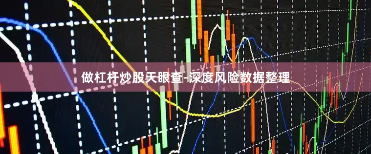 做杠杆炒股天眼查-深度风险数据整理