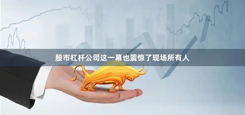 股市杠杆公司这一幕也震惊了现场所有人