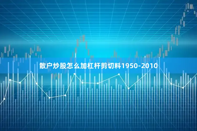 散户炒股怎么加杠杆剪切料1950-2010