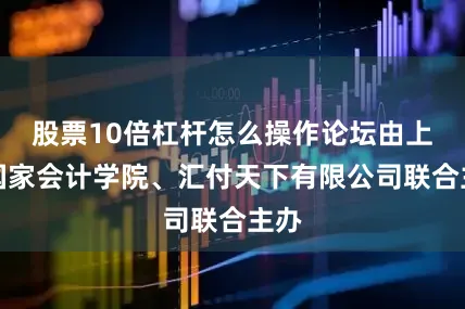 股票10倍杠杆怎么操作论坛由上海国家会计学院、汇付天下有限公司联合主办